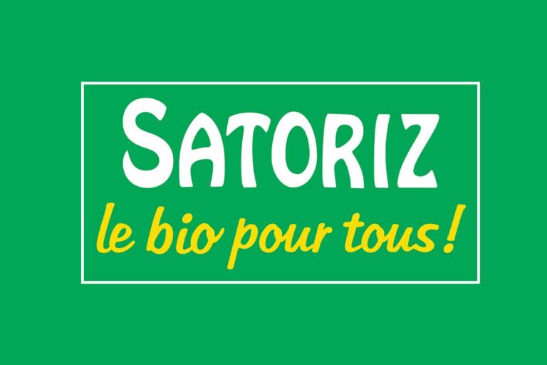 satoriz 5 768x512